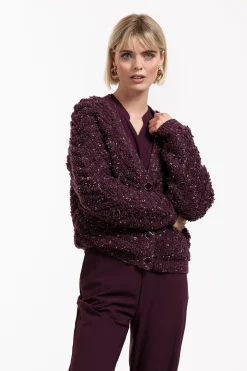 Studio Anneloes Iris chunky glitter cardigan -